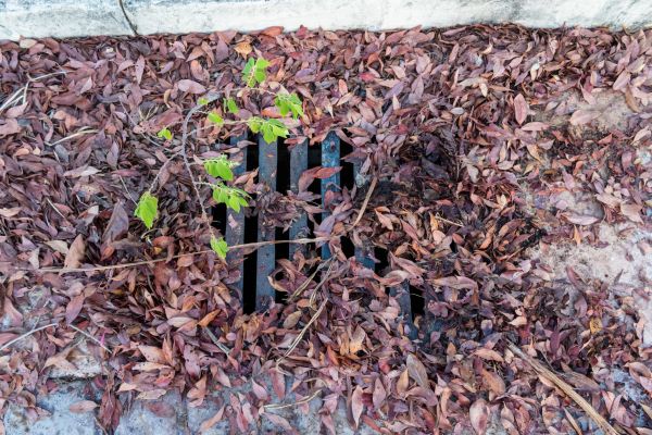 Cost of Yard Drain Unclogging in West Des Moines