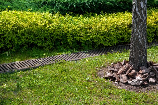 Cost of Residential Landscape Drainage in West Des Moines